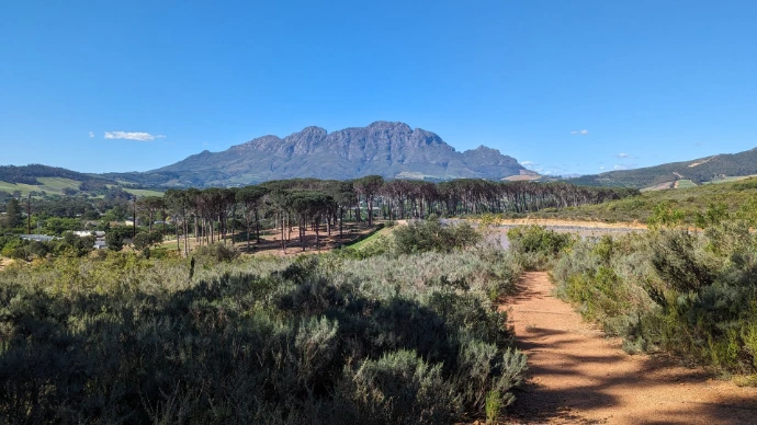 Zuid-Afrika